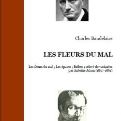 Ebook Livre Action - Les Fleurs Du Mal (Charles Baudelaire, 2013, 291 Pages)