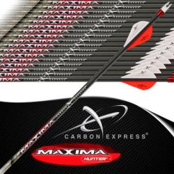 CARBON EXPRESS Maxima Hunter flèches de chasse et tir 3D empennées 250