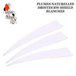 GATEWAY FEATHERS Plumes naturelles unies RW Shield Blanc 5" pouces