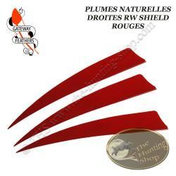 GATEWAY FEATHERS Plumes naturelles unies RW Shield Rouge 5" pouces