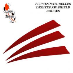 GATEWAY FEATHERS Plumes naturelles unies RW Shield Rouge 5" pouces