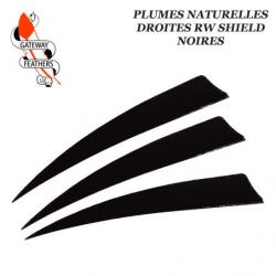 GATEWAY FEATHERS Plumes naturelles unies RW Shield Noir 5" pouces