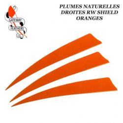 GATEWAY FEATHERS Plumes naturelles unies RW Shield Orange 5" pouces