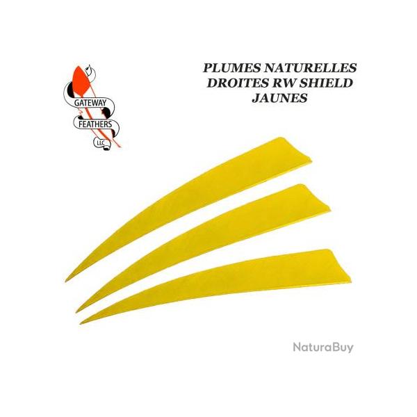 GATEWAY FEATHERS Plumes naturelles unies RW Shield Jaune 5" pouces