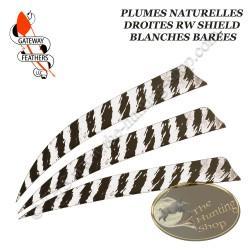 GATEWAY FEATHERS Plumes naturelles barrées RW Shield 5" pouces Barée Blanche