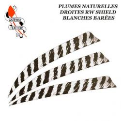 GATEWAY FEATHERS Plumes naturelles barrées RW Shield 5" pouces Barée Blanche