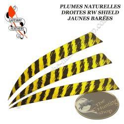 GATEWAY FEATHERS Plumes naturelles barrées RW Shield 5" pouces Barée Jaune