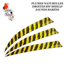 GATEWAY FEATHERS Plumes naturelles barrées RW Shield 5" pouces Barée Jaune