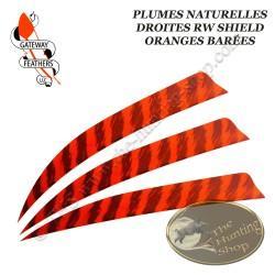 GATEWAY FEATHERS Plumes naturelles barrées RW Shield 5" pouces Barrée Orange