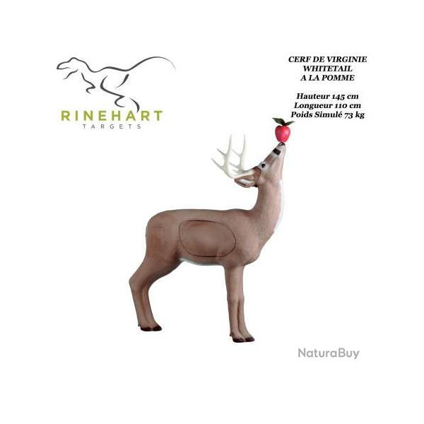 RINEHART Cible 3D Cerf de Virginie Whitetail  la pomme en mousse pour le tir  l'arc