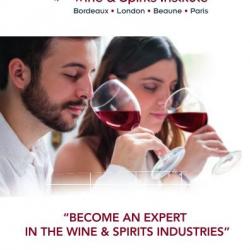 Ebook Livre Action - Become An Expert In The Wine & Spirtits Industries (Phénix, 2016, 20 Pages)