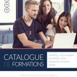 Ebook Livre Action - Catalogue De Formations Votre Business School En Ligne! (Phénix, 2016, 76 Pages