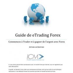 Ebook Livre Action - Guide De Etrading Forex Commencez A Trader Et A Gagner De L'Argent Avec Forex (