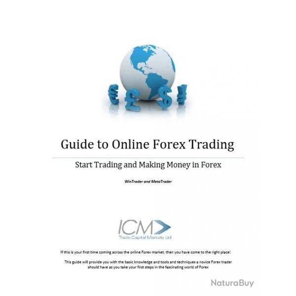 Ebook Livre Action - Guide To Online Forex Trading Start Trading And Making Money In Forex (Phnix,