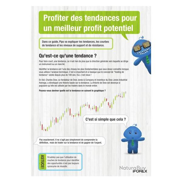 Ebook Livre Action - Profiter Des Tendances Pour Un Meilleur Profit Potentiel (Phnix, 2016, 6 Pages