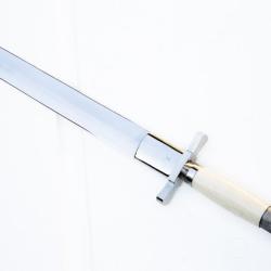 EPIEU pour passionn&eacute;