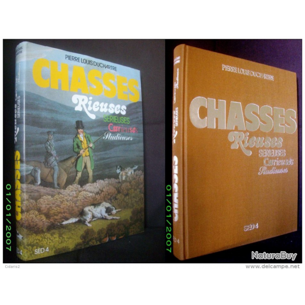 CHASSE(S) RIEUSES, SERIEUSES, CURIEUSES, STUDIEUSES Hunt Jagd Gibier Caille Perdrix Chien...