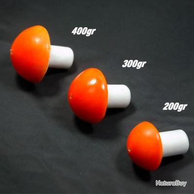 plomb pêche 300g