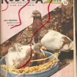 lot de 41 rustica de 1956 manque quelques numéros et décembre