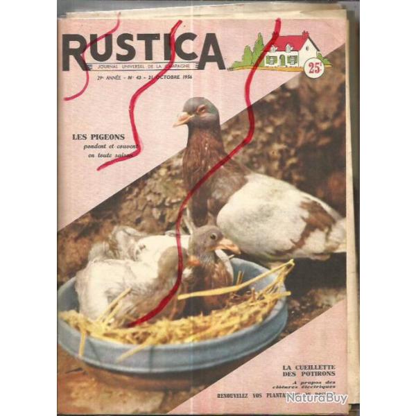 lot de 41 rustica de 1956 manque quelques numros et dcembre