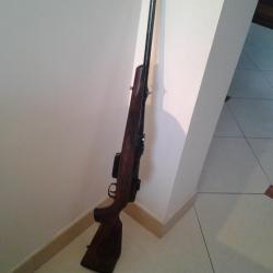 carabine sauer 80 calibre 300 weatherby magnumAvec montage Ewa coliers diamètre 30