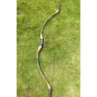 Arc Recourbé Mongol 48" 30-50 Lbs - Ambidextre, Fibre De Verre, Pour Chasse Et Cible