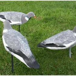 Chaussettes pigeons UV
