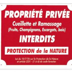 Panneau ''Propriété privée cueillette...'' 30 x 25 cm Aluminium