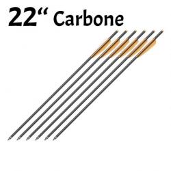 Pack de 6 Flèches Carbone de 22 pouces (55cm)