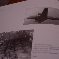 Livre l'or rouge les alliés et la transfusion sanguine bataille  de Normandie.