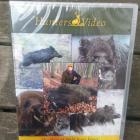 dvd BEST OFF Wild Boar Fever aimpoint  chasse au gros gibier ! top qualite ! des images superbes !
