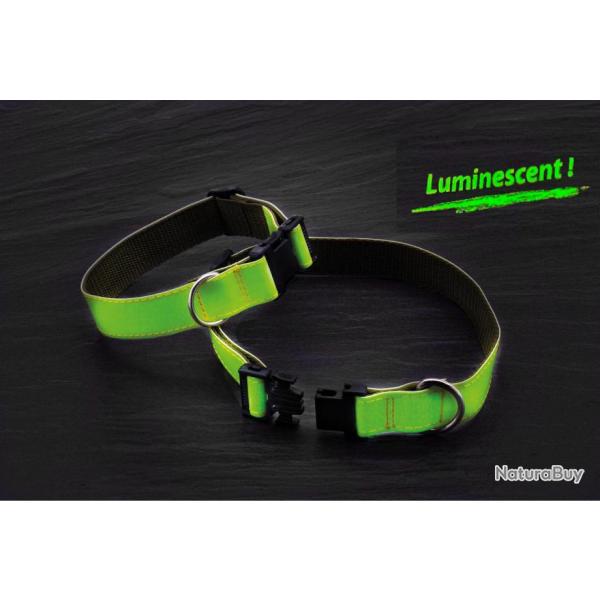 Collier luminescent Country pour chien 55-60 cm