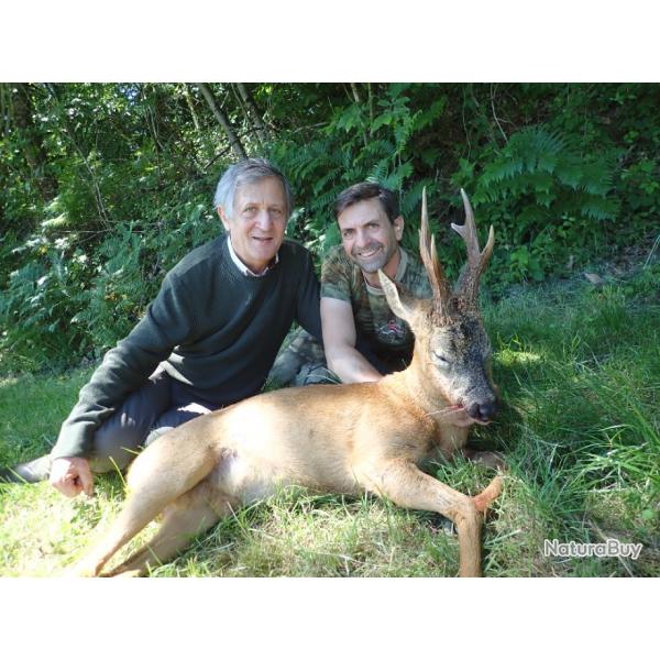 Chasse du Brocard en tir d't dans le Sud Ouest