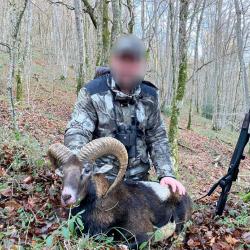 Chasse du Mouflon à l'approche dans les Pyrénées