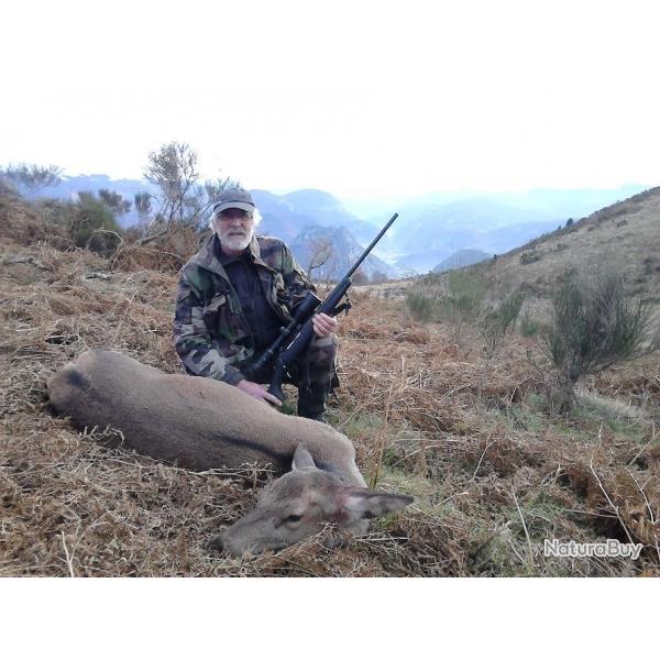 Chasse de la Biche  l'approche dans les Pyrnes.