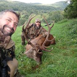 Chasse du Cerf au Brame dans les Pyrénées.