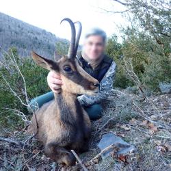 Chasse de l'Isard à l'approche dans les Pyrénées