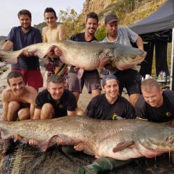 Séjour de Pêche du Silure en Bivouac Espagne-Méquinenza 2023 - Film sur SEASONS TV Octobre 2022