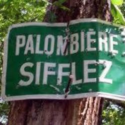 Hutte Palombes en Sologne Location de Territoires au Migrateurs 2022-2023
