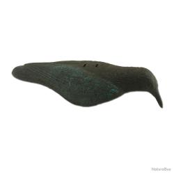 Appelant Corbeau coquille