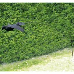 Kit complet flotteur à Corbeau acier fibre de verre, 2m10 monté