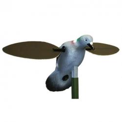 Pigeon à ailes tournantes MOJO