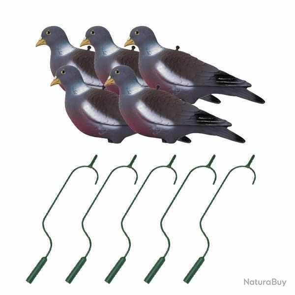 Pack irrsistible pigeon