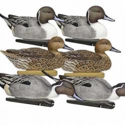 Formes de pilet AvianX actifs