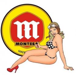MONTESA PIN UP AUTOCOLLANT STICKER 15X15cms moto crosse trial COTA IMPALA 348 360