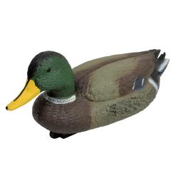 Blette de Colvert male ultra réaliste en plastique