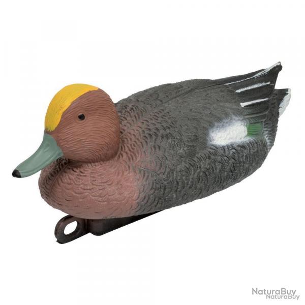 Blette de Siffleur male