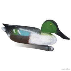 Blette de Souchet mâle