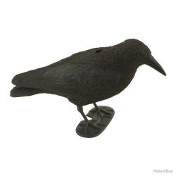 appelant corbeau