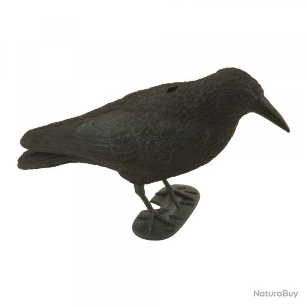 appelant corbeau